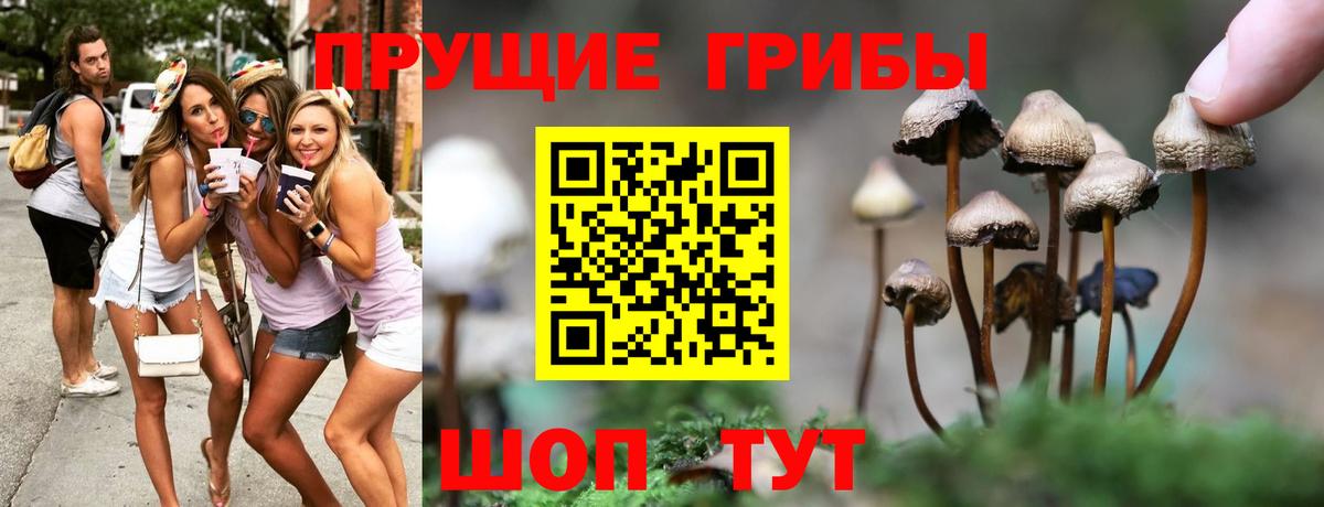 Аргун  Галлюциногенные грибы Psilocybine cubensis  Галлюциногенные грибы ЛСД  Вход с VPN 
